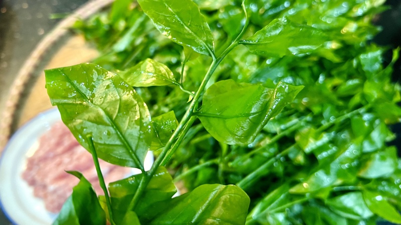 Đây vừa là rau vừa là vị thuốc rất tốt cho sức khỏe