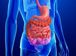 Phân biệt viêm dạ dày và hội chứng ruột kích thích chuẩn xác nhất