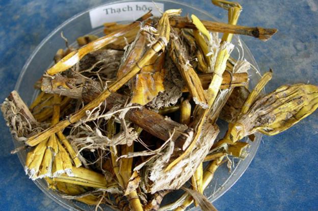 Vị thuốc hỗ trợ cải thiện tốt bệnh về tiêu hóa