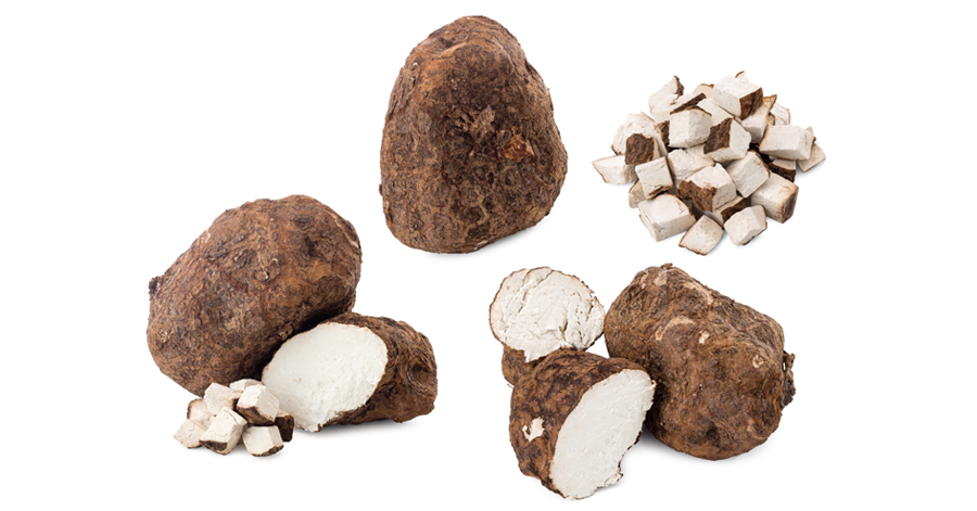 Cây bạch linh được dùng phổ biến trong Đông y