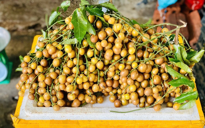 Cây quất hồng bì có quả vị chua ngọt và thơm rất đặc trưng