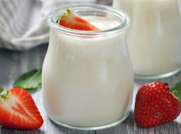 Rối loạn tiêu hóa có nên ăn sữa chua? Lời khuyên đúng từ Lão Tuấn