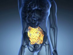 Cách trị hội chứng ruột kích thích dứt điểm, bụng dạ an yên