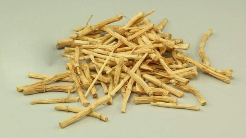 Rễ cỏ tranh thanh nhiệt rất tốt