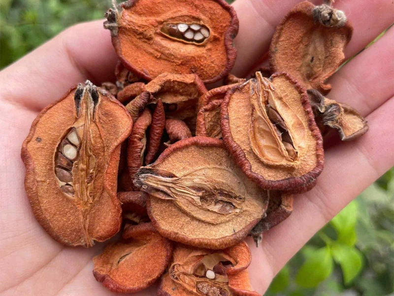 Táo mèo thường được dùng dưới dạng khô