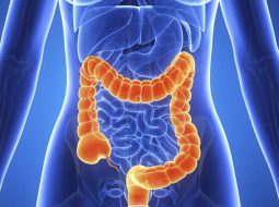 Viêm trực tràng có lây không? Lời giải đáp và cách chữa từ Lão Tuấn