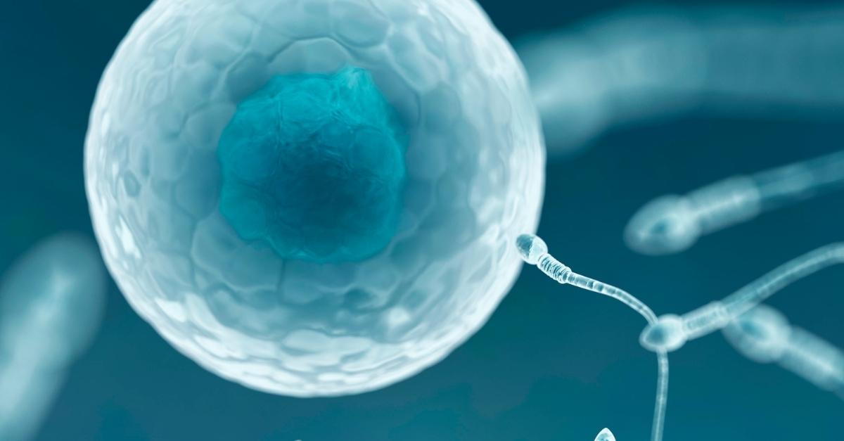 Điều trị tinh trùng yếu: Giải pháp từ gốc giúp quý ông sớm có con
