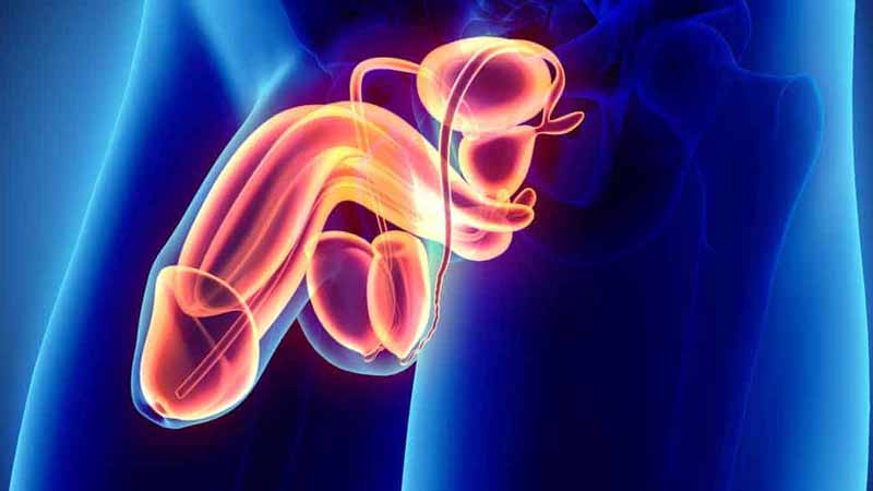 Rối loạn cương dương có chữa khỏi được không? Lời đáp từ Lão Tuấn