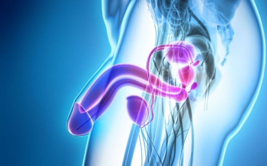 Rối loạn cương dương do lo âu: Gỡ bỏ tâm bệnh, lấy lại bản lĩnh