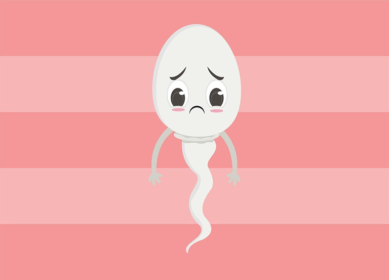 Tinh trùng yếu: Nỗi lòng Anh Em và cách bồi bổ từ gốc Thận tàng tinh