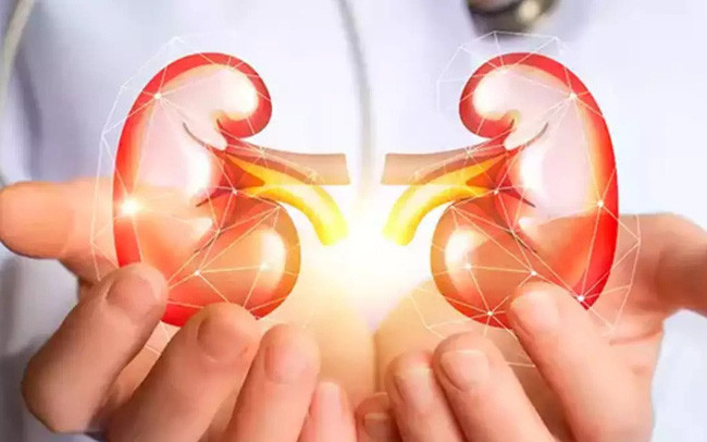 Cách Cải Thiện Thận Yếu Tại Nhà Giúp Anh Em Lấy Lại Bản Lĩnh sớm nhất