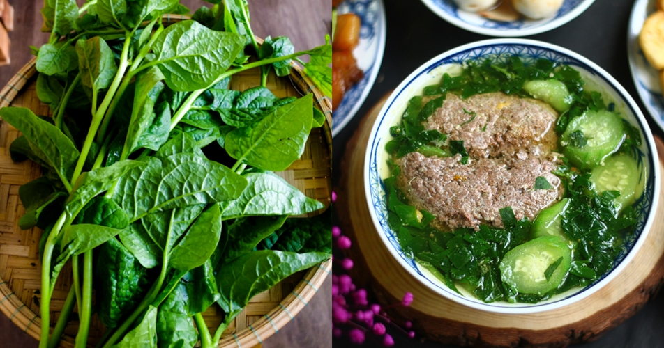 Ăn rau mồng tơi có tốt cho tinh trùng không? Lời khuyên từ Lão Tuấn