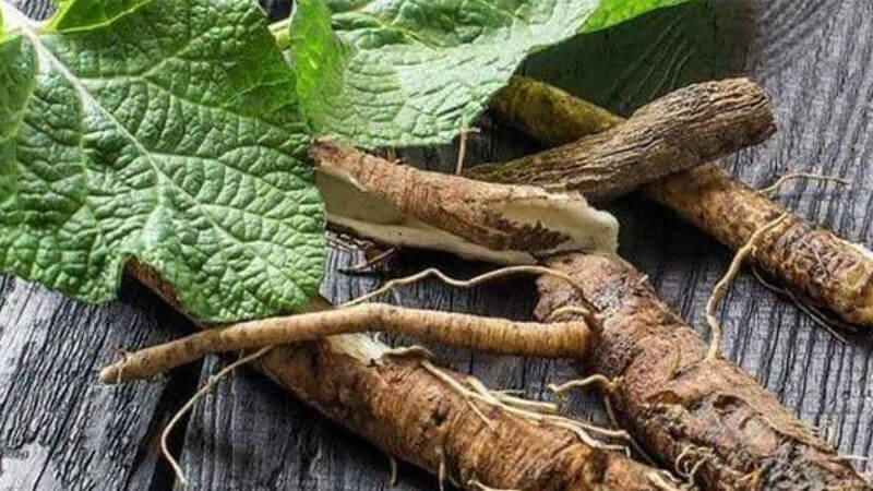 Thuốc nam tăng cường sinh lý: Bí quyết giữ lửa của Lão Tuấn