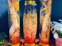 5 Bài Thuốc Ngâm Rượu Chữa Yếu Sinh Lý Giúp Anh Em Lấy Lại Bản Lĩnh