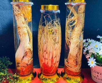 5 Bài Thuốc Ngâm Rượu Chữa Yếu Sinh Lý Giúp Anh Em Lấy Lại Bản Lĩnh