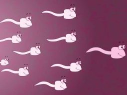 Bao nhiêu tuổi có tinh trùng? Lời dặn của Lão Tuấn cho Anh Em