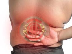 Giải pháp điều trị bệnh thận yếu theo Đông y giúp phục hồi bản lĩnh thân tâm