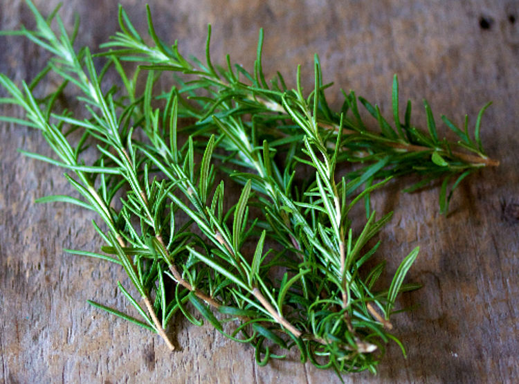 Cây hương thảo là một loại gia vị nấu ăn rất phổ biến