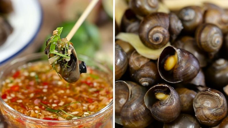Ăn ốc có tốt cho tinh trùng không? Bí quyết bổ thận từ Lão Tuấn
