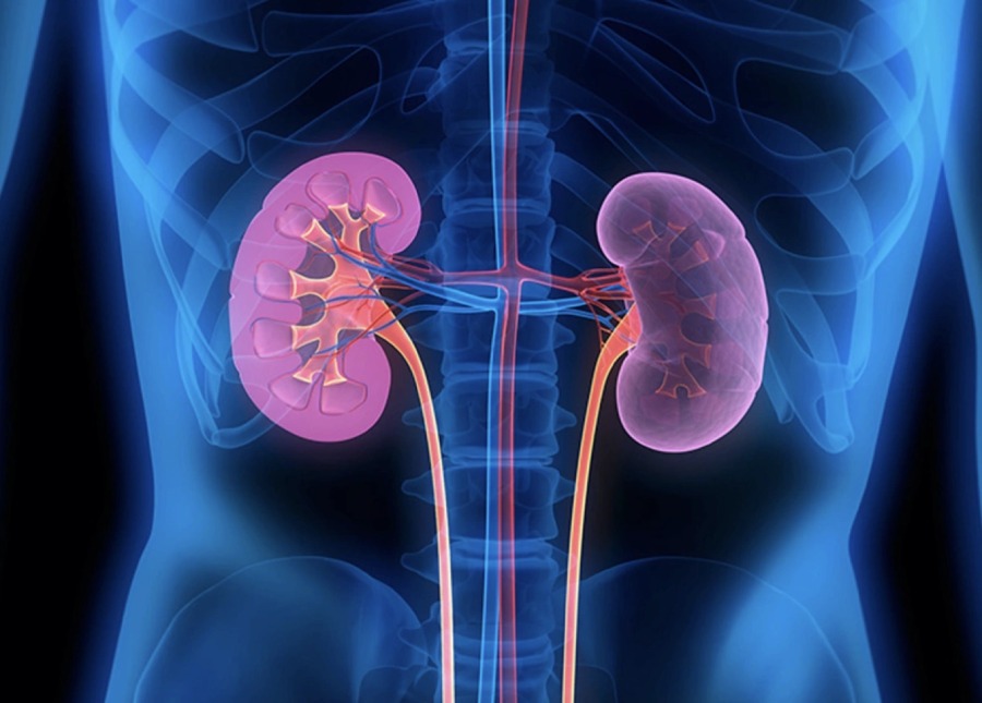 Cách nhận biết thận yếu: 5 dấu hiệu "chỉ điểm" Anh Em chớ coi thường