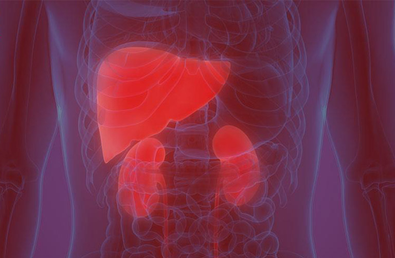 Thận âm hư và bản lĩnh phái mạnh: Coi chừng hỏa vượng cháy túi!