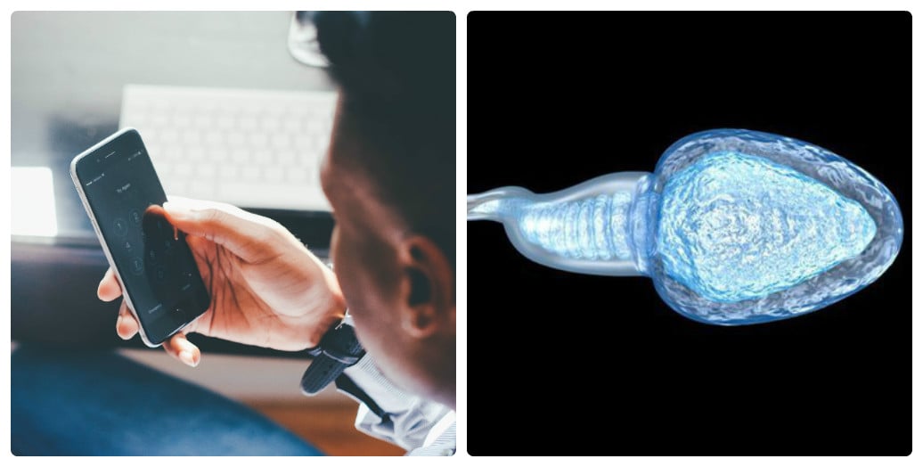 Sóng điện thoại ảnh hưởng đến tinh trùng: Lời dặn tâm huyết từ Lão Tuấn