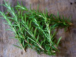 Cây hương thảo là một loại gia vị nấu ăn rất phổ biến