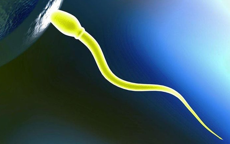 Tinh trùng màu gì thì bị vô sinh? Lời giải từ Lão Tuấn bác sĩ quân y