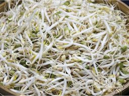 Mẹo chữa yếu sinh lý không dùng thuốc: Lấy lại bản lĩnh tự nhiên