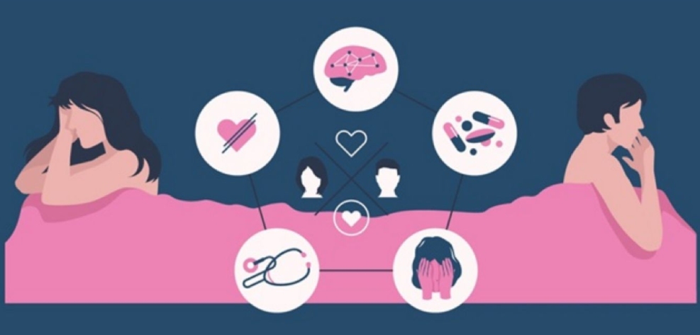 Chữa Yếu Sinh Lý Từ Gốc: Lấy Lại Bản Lĩnh Phái Mạnh Nhờ Nam Y