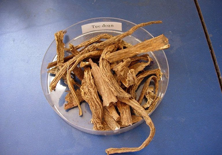 Tục đoạn dùng rất phổ biến trong Y học cổ truyền