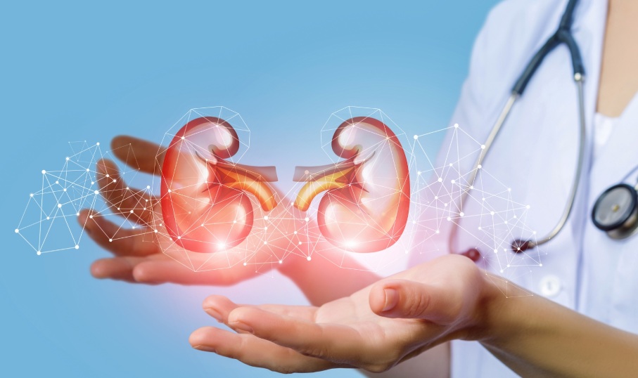 5 Dấu Hiệu Thận Dương Hư Anh Em Chớ Chủ Quan Kẻo Mất Bản Lĩnh