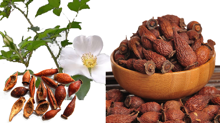 Xuất tinh sớm uống thuốc gì? Bí quyết giữ lửa bền bỉ cho Anh Em