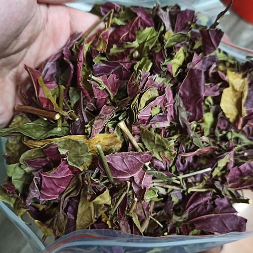 Đơn đỏ trị mẩn ngứa hiệu quả