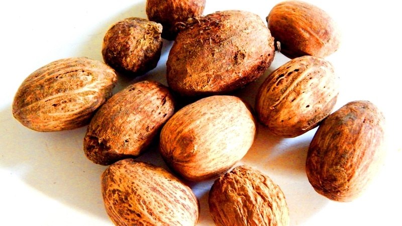 Găng tu hú hỗ trợ an thần, giảm mất ngủ