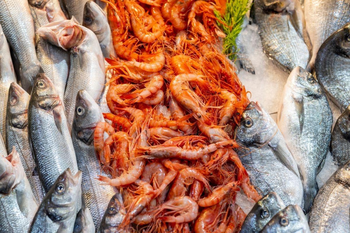 Thận âm hư nên làm gì? Bí quyết dưỡng thủy, phục hồi bản lĩnh nam nhi