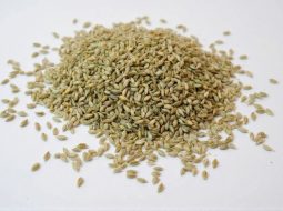 Hạt thì là rất phổ biến ở Việt Nam