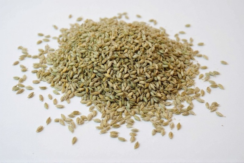 Hạt thì là rất phổ biến ở Việt Nam