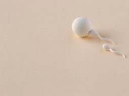 Hết tinh trùng: Nỗi lo vô sinh và cách hóa giải từ gốc Thận tinh