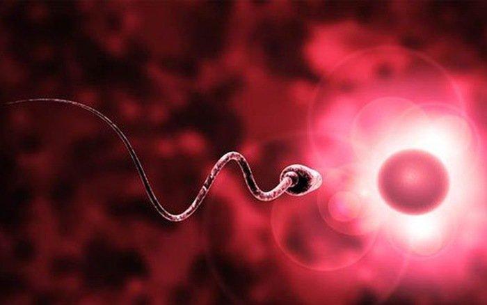 Tinh trùng yếu có thụ thai tự nhiên được không? Lời đáp từ Lão Tuấn