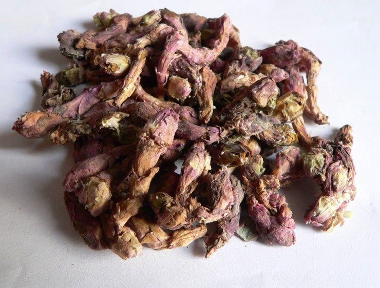 Khoản đông hoa trị ho khá tốt