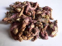 Khoản đông hoa trị ho khá tốt