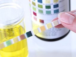 Thận hư do đâu? 5 dấu hiệu "cầu cứu" Anh Em chớ xem thường