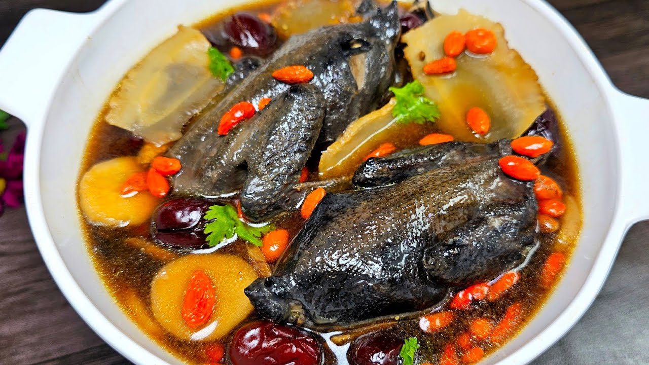 Gà ác có tốt cho tinh trùng không? Bí quyết vượng tinh từ Lão Tuấn