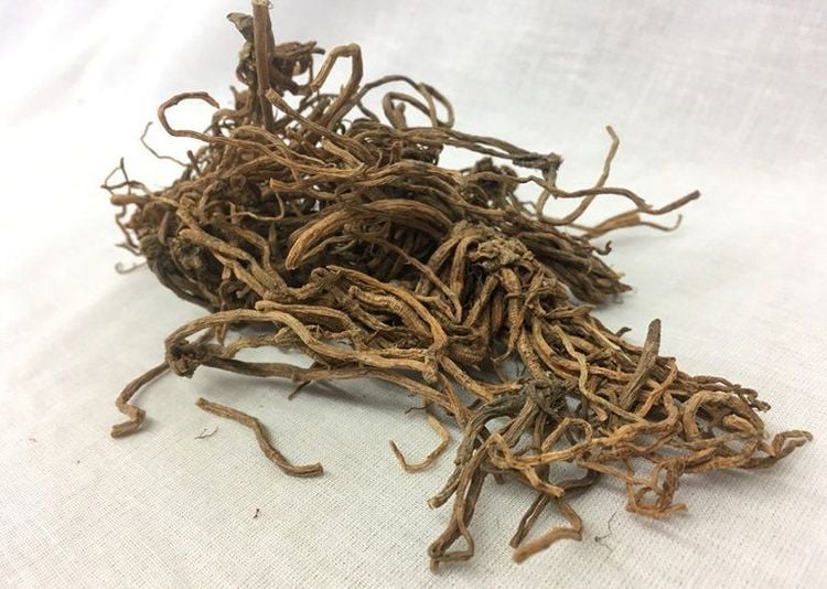 Vị thuốc được sử dụng rất phổ biến