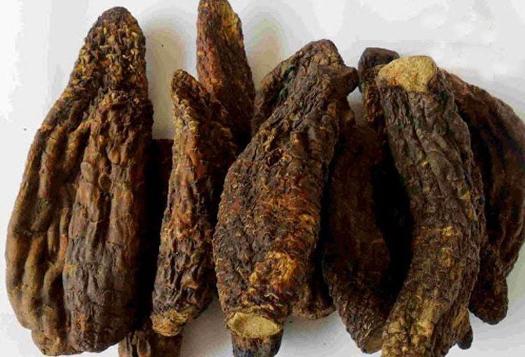 Vị thuốc có tác dụng bổ thận, cải thiện sinh lực