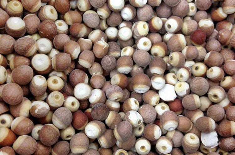 Cách chữa tinh trùng vón cục: Bí quyết bổ thận, dưỡng tinh từ Lão Tuấn