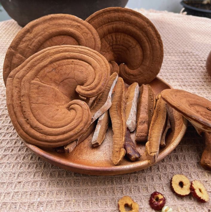 Nấm linh chi bồi bổ cơ thể hiệu quả