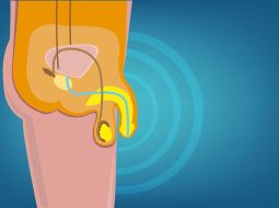 Người tiểu đường có bị yếu sinh lý không? Lời giải từ Lão Tuấn