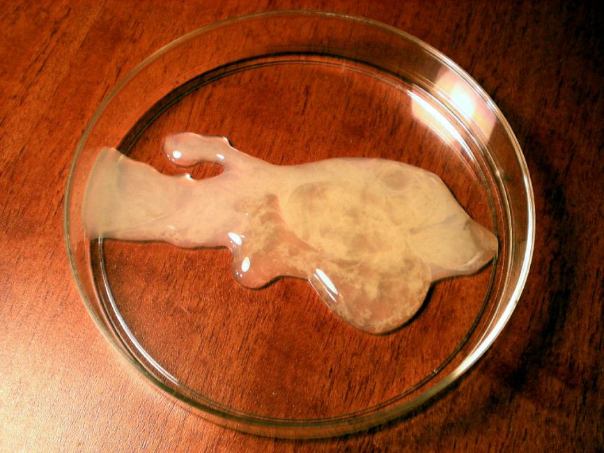 Nguyên nhân tinh trùng loãng và bí quyết bồi bổ từ Lão Tuấn